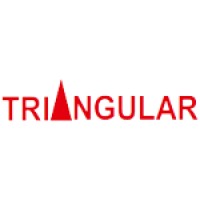 Triangular Infosolutions logo - Similar company to Arkhi Operators