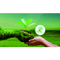 Elzac Herbal India logo - Similar company to Vagad'S