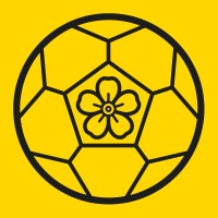 Voetbal Herinneringen logo - Similar company to Vvon - Vakbond Voetbal Oefenmeesters Nederland