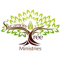 Sycamore Tree Church