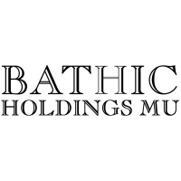 Bathic Holding MU logo - Similar company to Diski Nine9