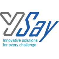 YSay - Management Advisory Services & Training logo - Similar company to Parlyreportsa