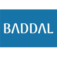 Baddal logo - Similar company to Thnity