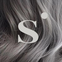 Silverist logo - Similar company to Üni