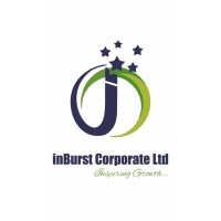 InBurst Corporate Ltd logo - Similar company to Liquid Hack Group