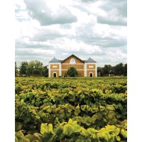 Delaney Vineyards logo - Similar company to Sean Smith Photography