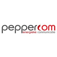 Peppercom logo - Similar company to Peppercom Inc