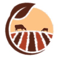 Cupit Food logo - Similar company to Yıldız Food Processing Solutions