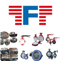 TianJin TangGu TangFa Valve logo - Similar company to Beijing Sisterflow Valve Co