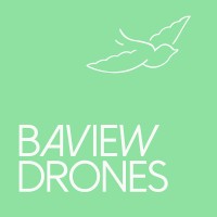 BaView Drones logo - Similar company to Atom Drones