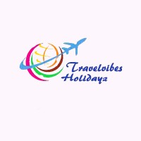 Travelvibes Holidayz logo - Similar company to Geektrippy(Geek Bots Private Limited)