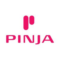 Pinja Group logo - Similar company to Aexus