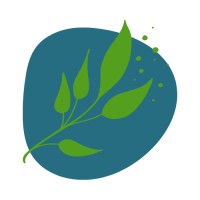 Erin Lego Coaching and Consulting, LLC logo - Similar company to Pinecone Coaching Llc