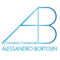 Bortolin Rappresentanze logo - Similar company to L.B.Consulting