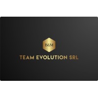 B&M Team Evolution S.R.L. logo - Similar company to Gori Srl