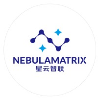 NebulaMatrix Technology Limited logo - Similar company to Shannon Systems