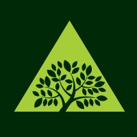 Prospectree logo - Similar company to Treecoin