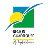 Région Guadeloupe logo - Similar company to Communauté D'Agglomération La Riviera Du Levant