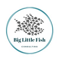 Big Little Fish logo - Similar company to Barndiva & Studio Barndiva