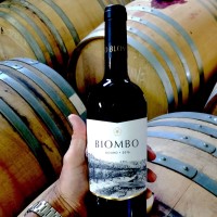 Biombo logo - Similar company to Biombo