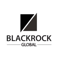 BlackRock Global - Headhunting Without Limits logo - Similar company to Blackrock Staffing Solutions