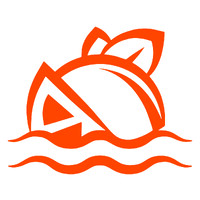 Indian River Select logo - Similar company to Ftsystems
