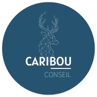 CARIBOU CONSEIL logo - Similar company to Jerlaure / Concepteur & Constructeur Datacenters