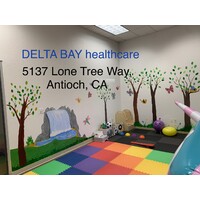 DELTA BAY HEALTHCARE logo - Similar company to Celebrations Speech Group Inc.
