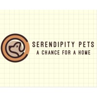 SerendipityPets logo - Similar company to Black Burger