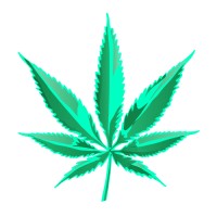 cbdmarketing.io logo - Similar company to Holistic Affiliates Solutions