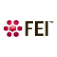 FEI Visualization Sciences Group logo - Similar company to Digim