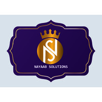 Nayaab Solutions logo - Similar company to Dm Software