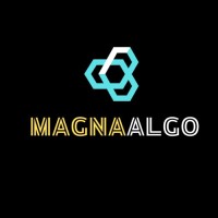 MagnaAlgo logo - Similar company to 360 - Managing Your Superstars