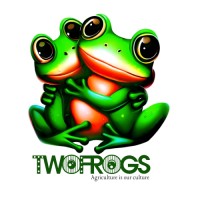 TwoFrogs logo - Similar company to Merit Consulting
