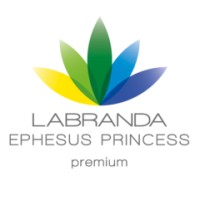 LABRANDA Ephesus Princess logo - Similar company to Address Academy