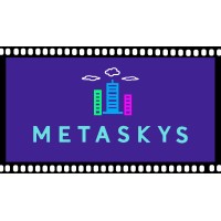 MetaSkys Inc. logo - Similar company to Techmr