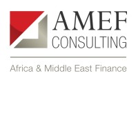 AMEF Consulting logo - Similar company to Committ Consulting