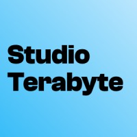 Studio Terabyte logo - Similar company to Codebeez