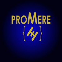 Promere Consulting logo - Similar company to Dvk Consultants Dwc-Llc