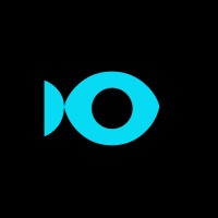 OJODEPEZ logo - Similar company to Wild Fi