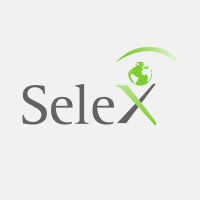 Selex Idiomas logo - Similar company to Transteaching Services Srl