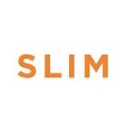 Slim logo - Similar company to Finnion