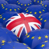Brexit Movers