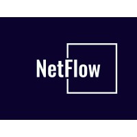 NetFlow logo - Similar company to Netflow It Services Ltd