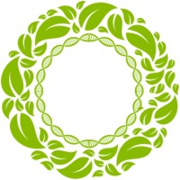 KilimOrgano logo - Similar company to Noobites