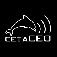 Cetaceo Technology logo - Similar company to Tnt Technology