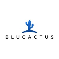 Blucactus logo - Similar company to Blucactus