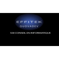EFFITEK logo - Similar company to Lexing Technologies