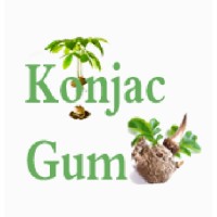 Konjac Gum logo - Similar company to Bold & Pros.