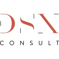 DSXConsult logo - Similar company to Inkonseil